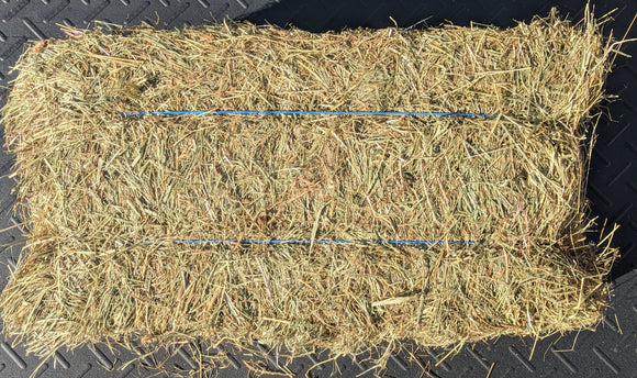 2 Tie Local Grass Hay Bale