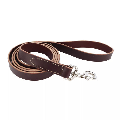 Coastal Pet Products Circle T Latigo Leather Dog Leash 1 x 6'