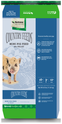 Nutrena	Country Feeds 16% Mini Pig Feed