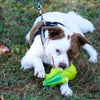 Coastal Pet Rascals Grunt Big Head Alligator Toy