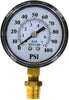 PRESSURE GAUGE 0-100 PSI