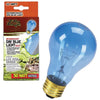 Zilla Day Blue Light Bulb