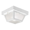 Design House Outdoor Ceiling Light in White 5.5-Inch by 10.5-Inc